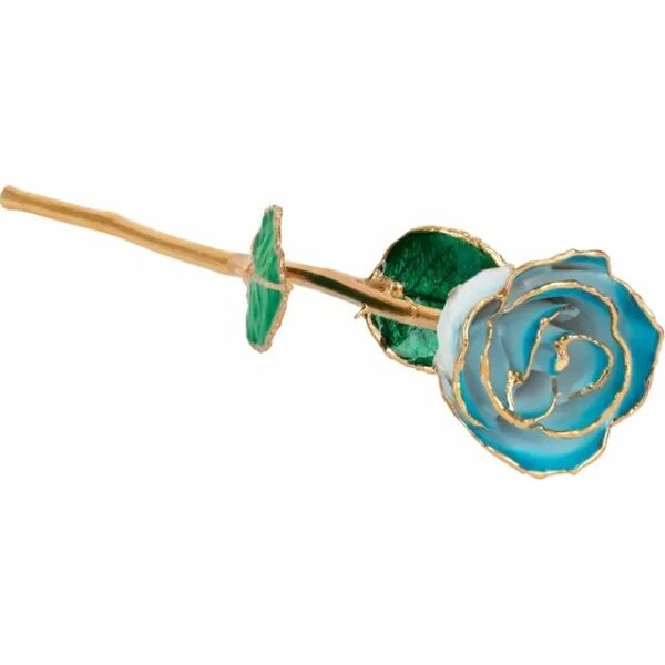 Cream Turquoise Rose 1