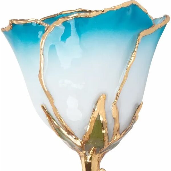 Cream Turquoise Rose 2