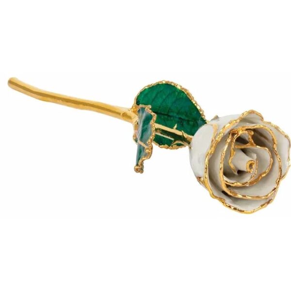 Pearl Rose 1