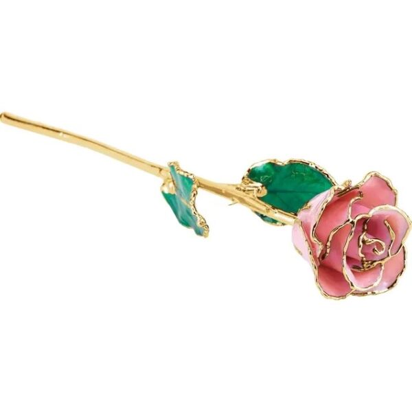 Pink Pearl Rose 1