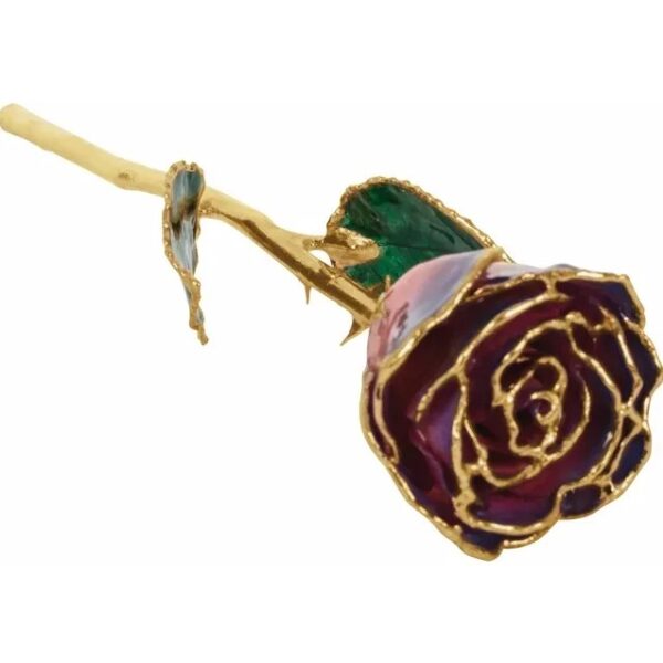 Purple Rose 1