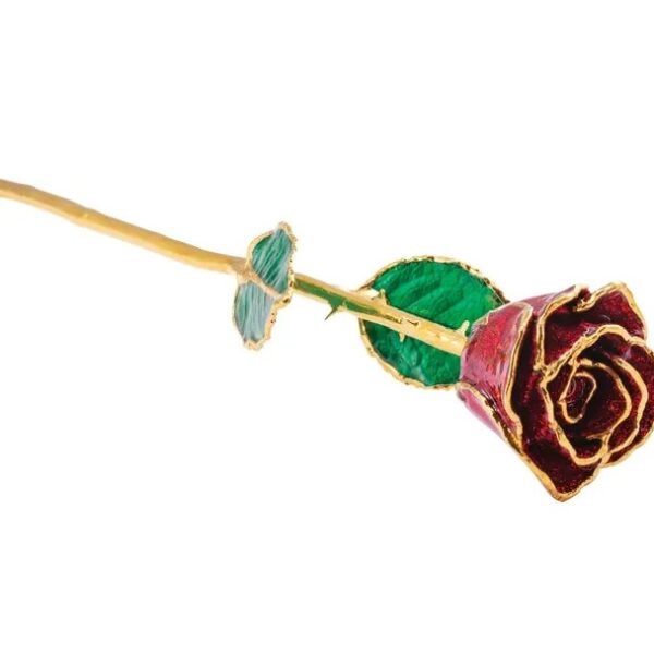 Ruby Colored Sparkle Rose1