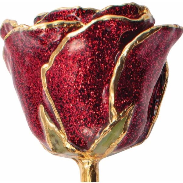 Ruby Colored Sparkle Rose2