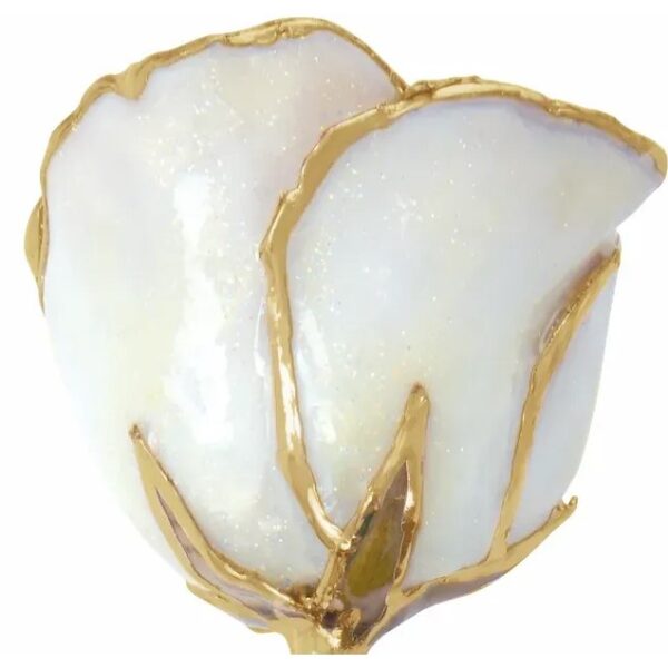 Sparkle White Rose 2